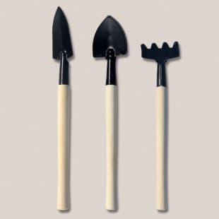Mini Gardening Tools Fleshy Plant Gardening Three-Piece Set Family Vegetable Planting Flower Tools Spade Spade Small Rake