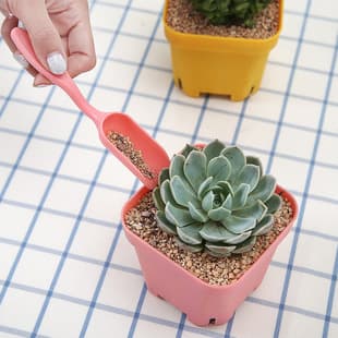Succulent plant micro landscape landscaping home gardening tools shop surface succulent shovel soil spoon sand spreader plastic small spoon