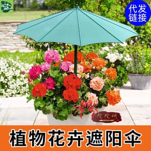 Plant and Flower Sunshade Umbrella, Succulent Bonsai Pot Umbrella, Rainproof Umbrella, Outdoor Fiberglass Ground-Insert Mini Plant Umbrella