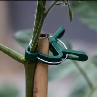 Gardening Fixed Clips, Spring Clips, Tomato Plant Clips, Plastic Clips, Tools, Gardening Phalaenopsis Orchid Garden Set