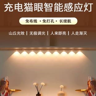 Led Rechargeable Motion Sensor Light, Automatic Sensor Light, Home Atmosphere Cat's Eye Light, Snap-On Sensor Cabinet Light