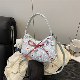 Niche Designer Bags for Women 2025 New Fashion Versatile Shoulder Underarm Bag Casual Work Commute Crossbody Bag