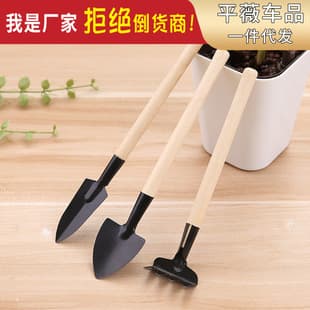 Three-piece set of gardening tools mini garden shovel/Rake/spade succulent plant potted flower pine shovel