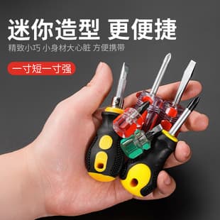 Mini Screwdriver with Dual-Purpose Head, High Hardness, Flathead and Phillips, Portable, Small, Magnetic Mini Screwdriver