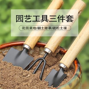Household Flower Planting Shovel Gardening Tool Three-Piece Set Green Plant Succulent Soil Shovel Iron Shovel Potted Flower Shovel