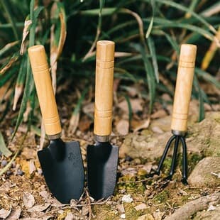 Succulent Mini Shovel Gardening Tool Set of Three Pieces, Flower Rake, Planting Tools for Vegetables and Flowers, Small Iron Spade, Potted Plant Supplies