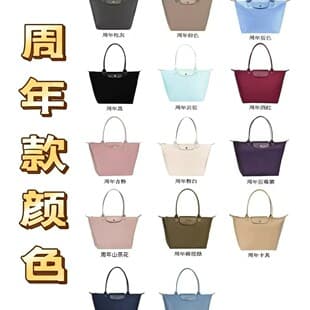French Dragon Tote Bag, Shoulder Bag, Dumpling Bag, 70Th Anniversary Foldable Bag, Nylon Waterproof Bag, Nylon Embroidered Bag