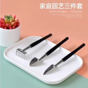 Fleshy Planting Gardening Soil Loosening Tool Mini Stainless Steel Three-Piece Set Potted Flower Planting Shovel