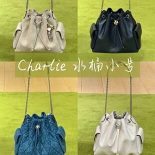 Tb Factory Direct Sales Cross-Border New Model Charlie Drawstring Bucket Bag Commuter Shoulder Bag Large Capacity Charlie Bag