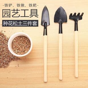 Household Gardening Tool Set of Three: Small Shovel for Planting Flowers, Gardening Tools for Green Plants and Succulents, Soil Loosening Shovel, Iron Shovel, Potted Plant Flower Shovel