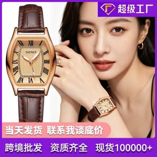Dropshipping Seno Brand Women's Watch Small Square Watch Export Popular Barrel-Shaped Women's Quartz Watch