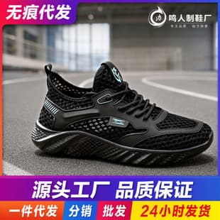 Men's Summer Comfortable Casual Breathable Mesh Sneakers Low-Top Thick-Soled Non-Slip Mesh Hollow Men's Shoes