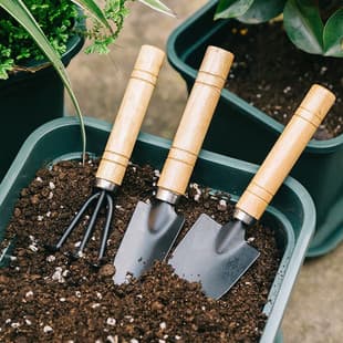 Gardening tools three-piece flower planting rake set vegetable planting flower succulent small shovel tool Small shovel pot supplies