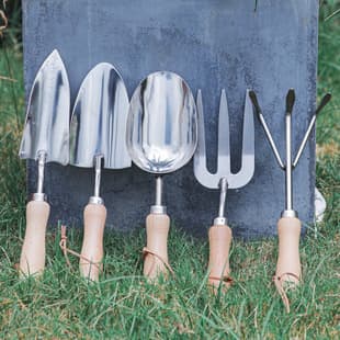 Stainless Steel Gardening Small Shovel Flower Planting Tool Flower Shovel Household Plant Potted Shovel Soil Shovel Flower Raising Meat Shovel