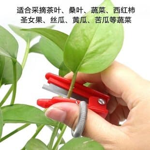 Agricultural Finger Scissors for Picking, Gardening Pruning, and Picking Without Dirtying Your Hands; Cucumber Tip-Cutting Thumb Knife, Small Pruning Knife