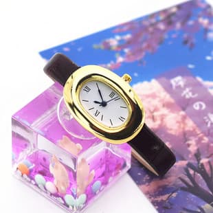Popular Oval Egg-Shaped Women's Belt Watch Women's Watch Manufacturer Cross-Border Quartz Retro Belt Mid-Century Style