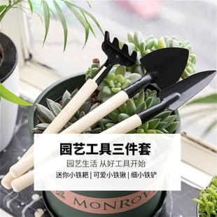 Wholesale garden planting flowers and succulent garden planting tools suit small shovel iron rake gardening three-piece set