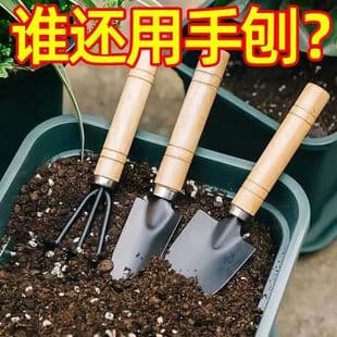 Potted Plant Small Shovel Three-Piece Set for Planting Flowers, Shoveling Soil, Loosening Soil, and Cultivating Flowers; Small Iron Shovel for Succulent Plants and Gardening Tool Set