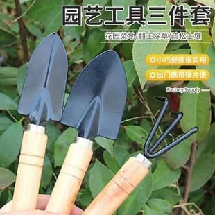 Succulent Gardening Tool Set Three-Piece Set for Home Potted Plants, Flower Shovel, Small Shovel, Shovel, Small Rake, Bonsai