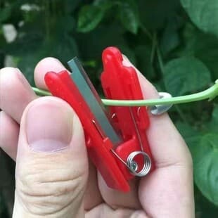 Cross-Border Vegetable Picking Tools: Small Scissors, Vegetable and Bean Cutting Knife, Cucumber Thumb Knife, Grape Pruner, Leaf Cutting Knife, Fruit and Vegetable Manual Tools