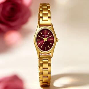 BS watch manufacturer gift: Classic vintage burgundy elegant stainless steel FA1934 women's high-end watch