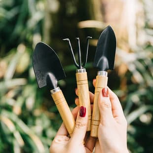 Gardening tools three-piece flower planting rake set vegetable planting flower succulent small shovel tool Small shovel pot supplies