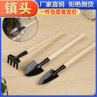 Household Set Vegetable Planting Flower Planting Flower Tools Fleshy Flower Shovel Loose Soil Potted Plant Shovel Shovel Gardening Shears Small Shovel