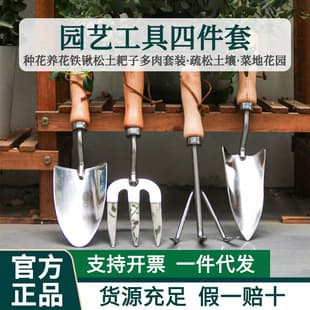 Household Potted Plant Gardening Tools Small Shovel Flower Shovel Three-piece Set Flower Planting Shovel Loosen Soil Rake Fleshy Set
