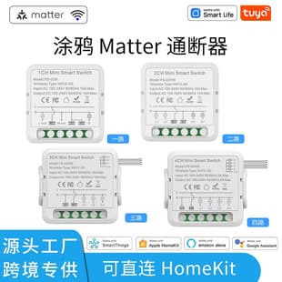 graffiti matter cross-platform protocol single switch switch smart home voice timing switch controller